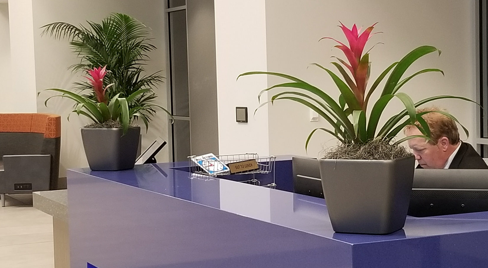 Plants in Office Lobby