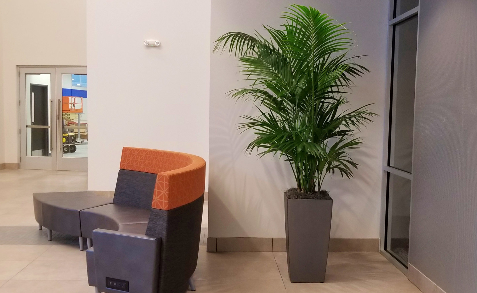 Modern Office Plant